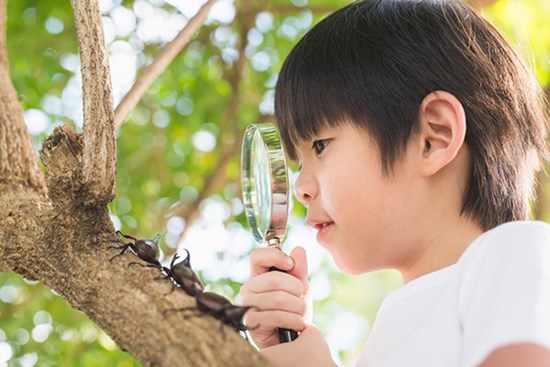 Trẻ lên 3 tuổi sở hữu những đặc điểm 