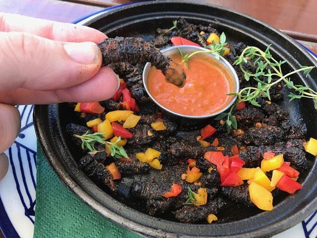 Loài sâu bướm nhìn nổi da gà bổ béo gì mà đắt hơn tôm hùm?-7