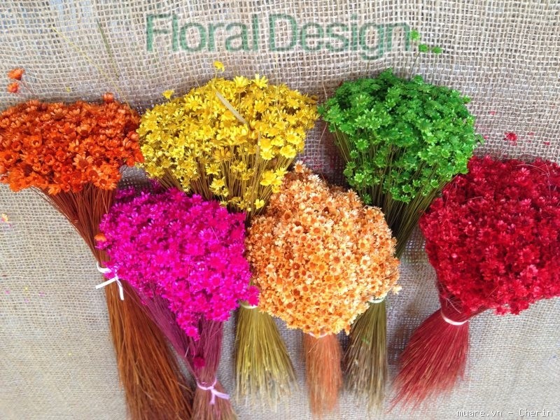 Cúc Glixia đẹp tinh khôi khiến chị em nao lòng, thi nhau lùng mua làm cháy chợ mạng-4