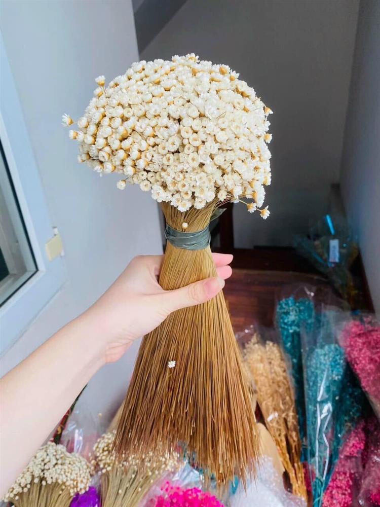 Cúc Glixia đẹp tinh khôi khiến chị em nao lòng, thi nhau lùng mua làm cháy chợ mạng-6