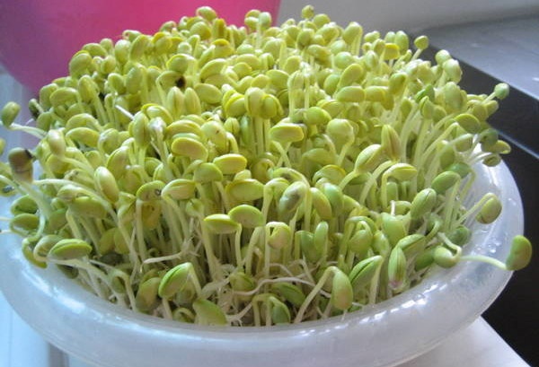 Mách chị em cách làm giá đỗ bằng rổ tại nhà trắng ngon, mập mạp, chỉ 3 ngày là có giá ăn-2