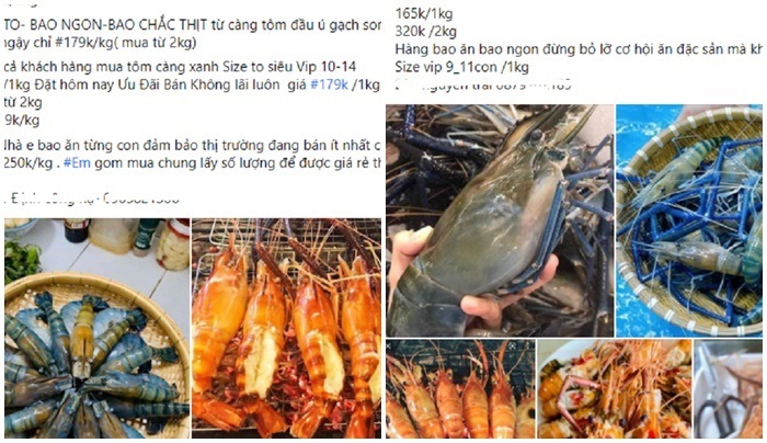 Tôm càng xanh cỡ đại rẻ khó tin, khách mua ngán ngẩm lắc đầu-3