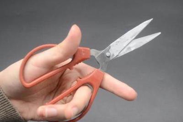 Bôi một ít kem dưỡng da tay đã hết hạn sử dụng lên cánh cửa, ai ngờ có tác dụng hiệu quả-6