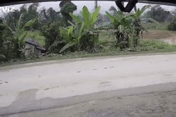 Hai nam thanh niên thoát chết ngoạn mục trong tích tắc ngay trước mũi xe container