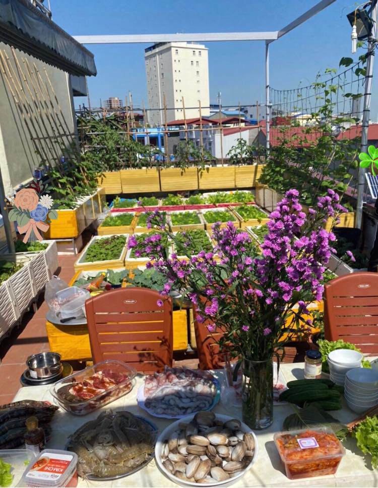 Dỡ nóc nhà làm vườn, mẹ Hải Phòng được 50m2 rau xanh cả gia đình ăn không xuể-5