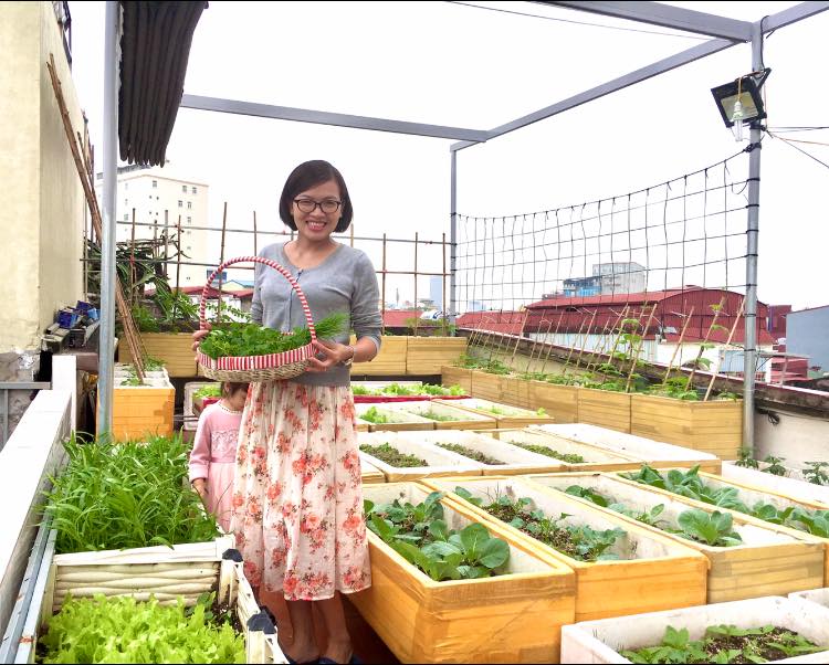 Dỡ nóc nhà làm vườn, mẹ Hải Phòng được 50m2 rau xanh cả gia đình ăn không xuể-1