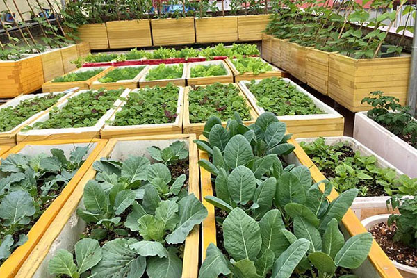 Ca sĩ Vợ tuyệt vời nhất - Vũ Duy Khánh đăng đàn muốn bán gấp căn hộ cao cấp, nghe lý do ai cũng tiếc rẻ-11