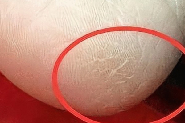 Nếu đáp ứng được 4 điểm này thì thận của bạn phải rất khỏe, chiếm được một trong số đó cũng là điều đáng ghen tị-4