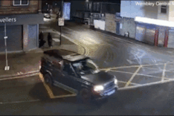 Hai kẻ lạ mặt đột nhập vào nhà cuỗm chó cưng-1