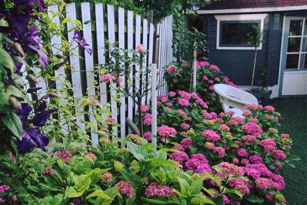 Cãi nhau nảy lửa vì vợ xem máy tính của chồng-1