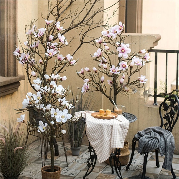 Mộc lan lộng lẫy, quý phái, giá từ 150k/bó được chị em ráo riết săn lùng-3