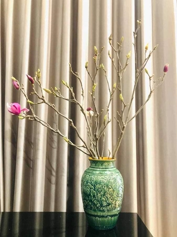 Mộc lan lộng lẫy, quý phái, giá từ 150k/bó được chị em ráo riết săn lùng-6