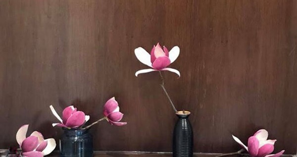 Mộc lan lộng lẫy, quý phái, giá từ 150k/bó được chị em ráo riết săn lùng-8