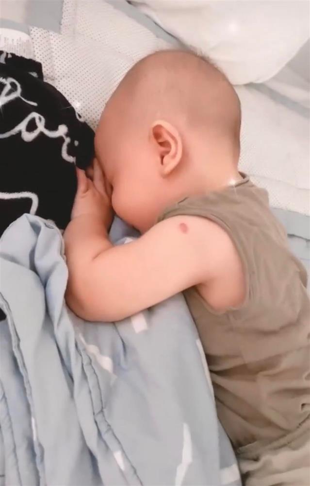 Leon nhà Hồ Ngọc Hà suốt ngày ngủ ở tư thế này, trông khá hài hước nhưng thực ra lại là biểu hiện bé thông minh về sau-2