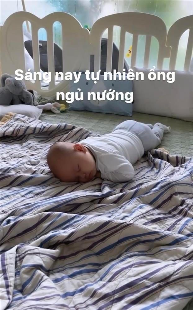 Leon nhà Hồ Ngọc Hà suốt ngày ngủ ở tư thế này, trông khá hài hước nhưng thực ra lại là biểu hiện bé thông minh về sau-4