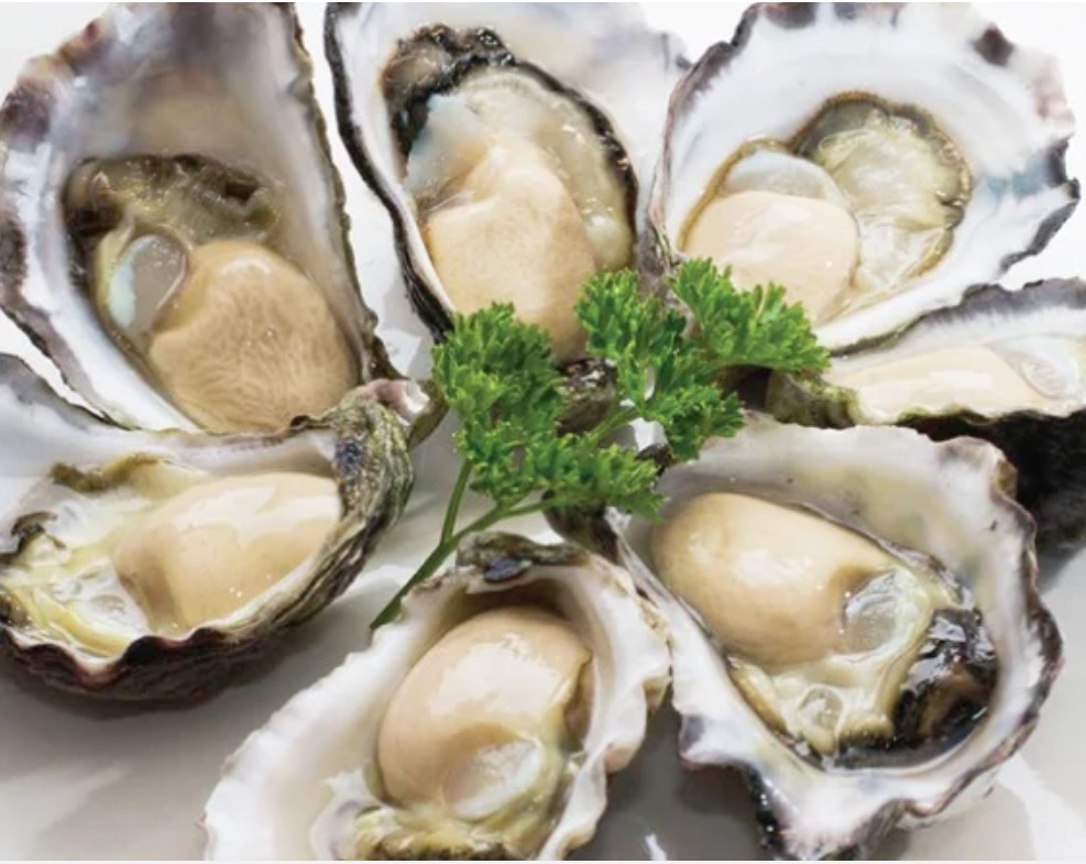 Chọn mua hàu sống tươi ngon, béo ngậy cứ nhắm vào điểm này mới là chuẩn nhất-2