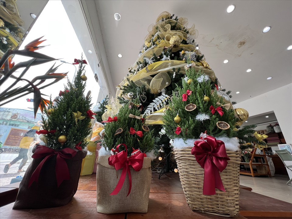 Bản sao cây thông thật chỉ 150.000 đồng đắt khách mùa Giáng sinh 2021-11