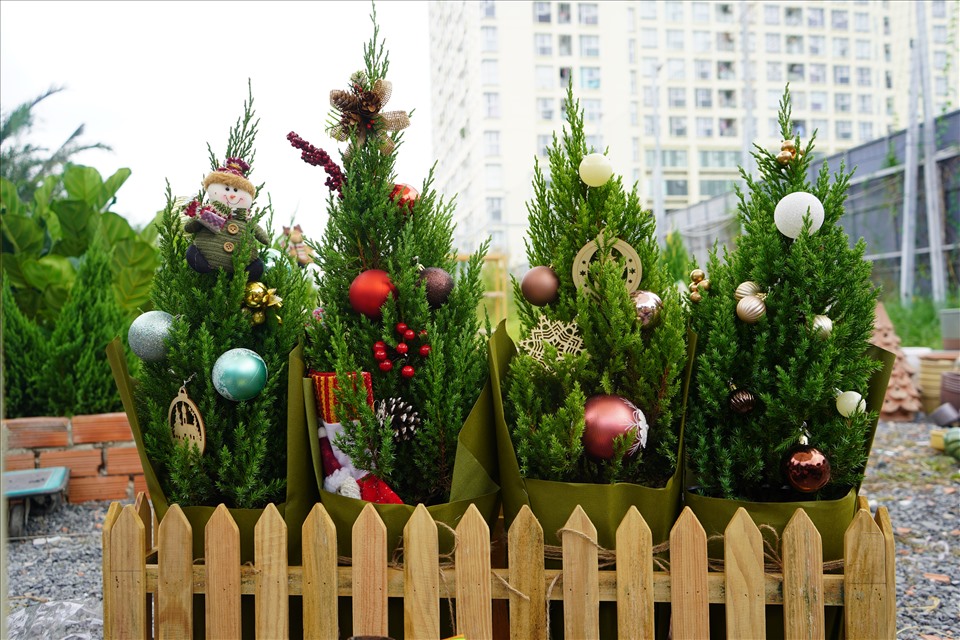 Bản sao cây thông thật chỉ 150.000 đồng đắt khách mùa Giáng sinh 2021-3