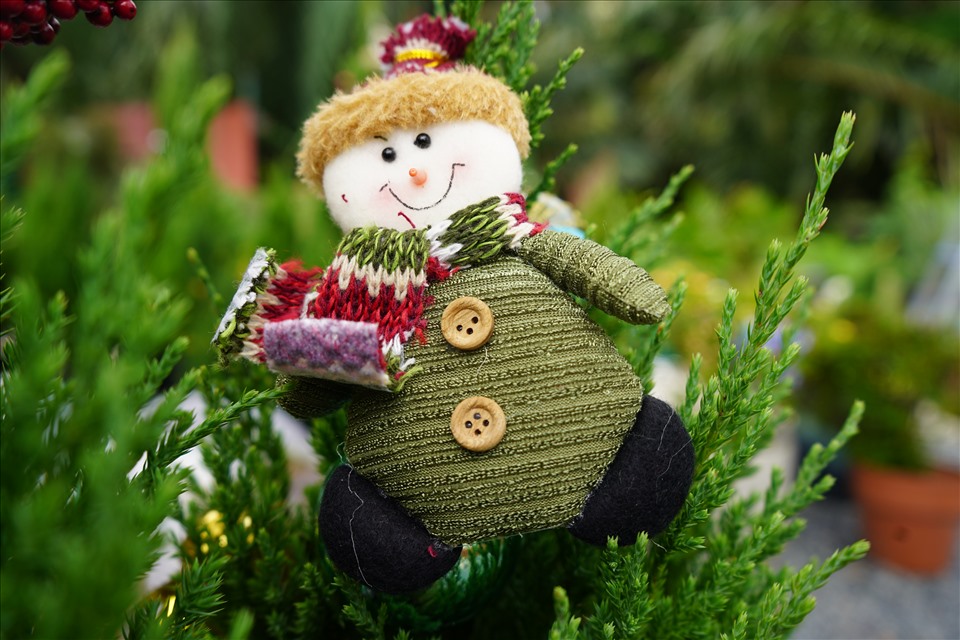 Bản sao cây thông thật chỉ 150.000 đồng đắt khách mùa Giáng sinh 2021-7