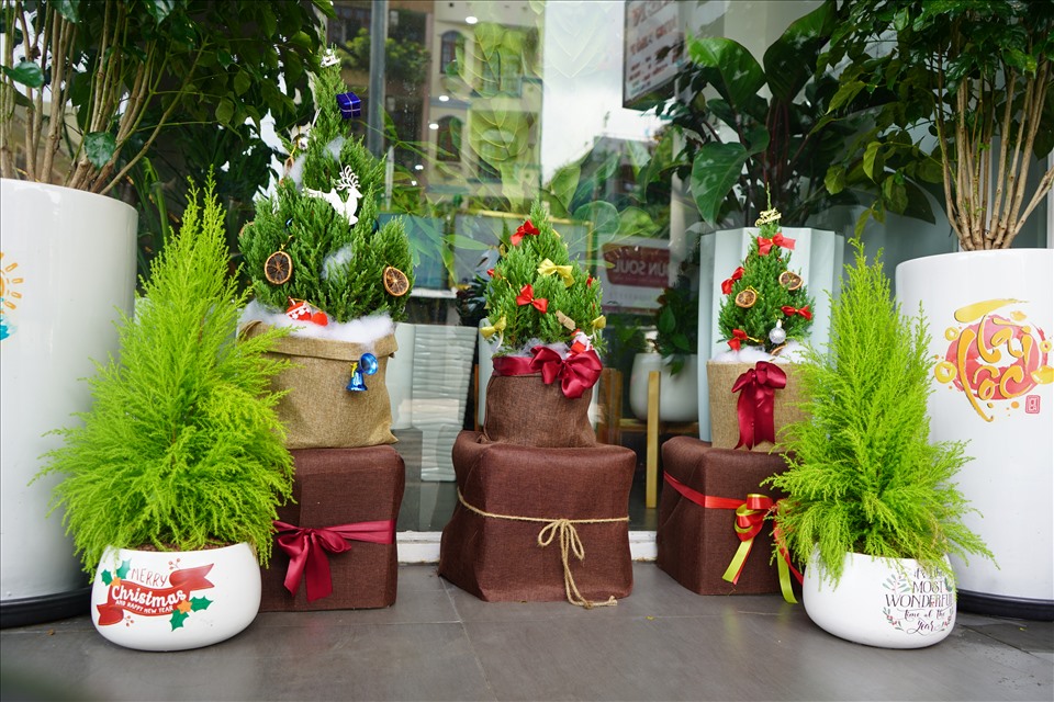 Bản sao cây thông thật chỉ 150.000 đồng đắt khách mùa Giáng sinh 2021-8