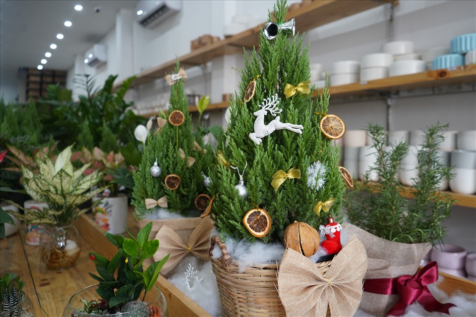 Bản sao cây thông thật chỉ 150.000 đồng đắt khách mùa Giáng sinh 2021-9