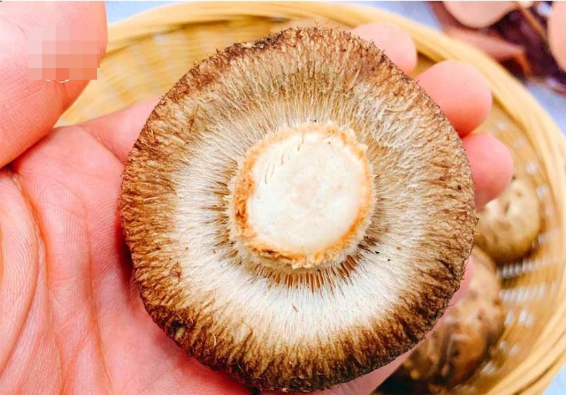 Nhìn thấy 4 loại nấm hương này đừng nên mua, đến người bán chưa chắc dám ăn-2