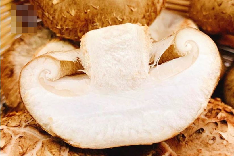 Nhìn thấy 4 loại nấm hương này đừng nên mua, đến người bán chưa chắc dám ăn-4