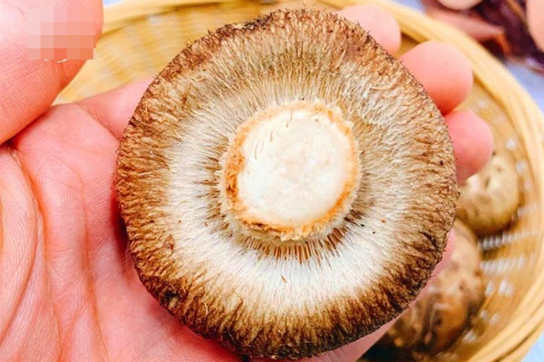 Nấm hương nấu theo cách này mới đúng bài, vừa ngon vừa bổ gấp bội thông thường-4