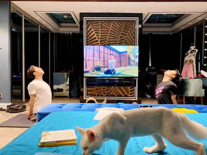 Trấn Thành đau đớn đến mất ngủ khi mèo cưng rơi từ tầng 32 xuống đất tử vong-8