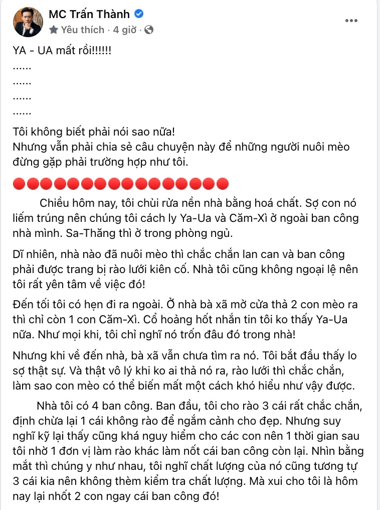 Trấn Thành đau đớn đến mất ngủ khi mèo cưng rơi từ tầng 32 xuống đất tử vong-5