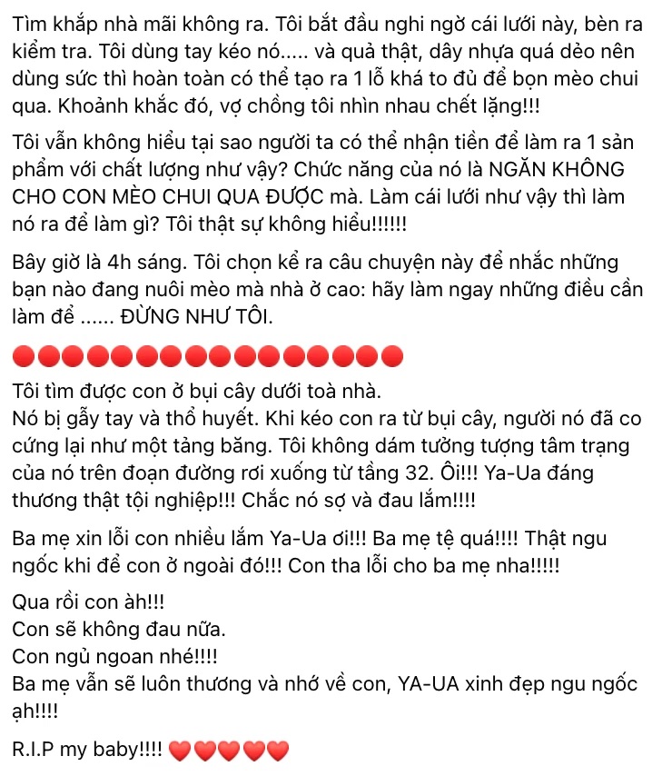 Trấn Thành đau đớn đến mất ngủ khi mèo cưng rơi từ tầng 32 xuống đất tử vong-6