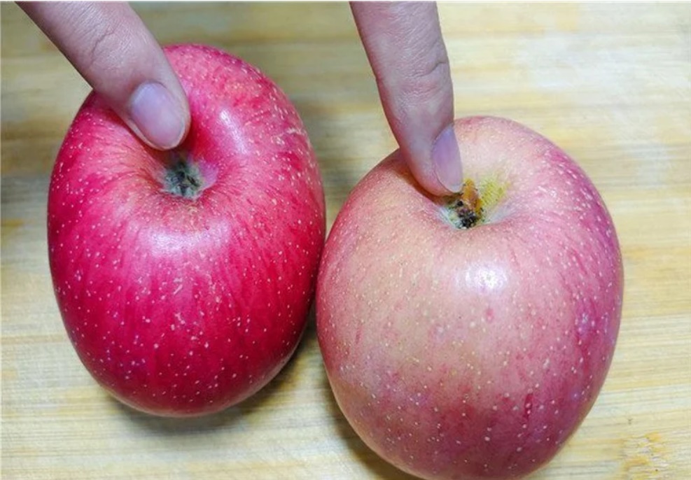 Nhìn quả táo 3 giây biết ngay quả nào giòn ngon, mọng nước nhất-1