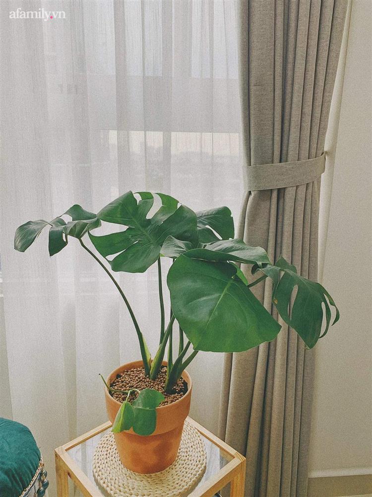 Ngắm căn hộ của cô nàng độc thân tuổi 30: Sửa trong 3 tháng với chi phí 150 triệu, tạm ngưng 3 lần vì hết tiền nhưng thành quả đẹp như mơ-8