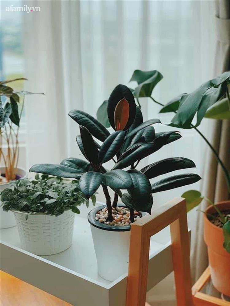 Ngắm căn hộ của cô nàng độc thân tuổi 30: Sửa trong 3 tháng với chi phí 150 triệu, tạm ngưng 3 lần vì hết tiền nhưng thành quả đẹp như mơ-9