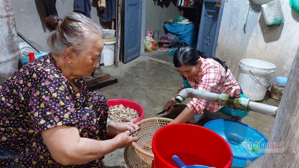 Đêm soi đèn tìm dấu nấm vua, sáng ra mang bán hái tiền triệu-6