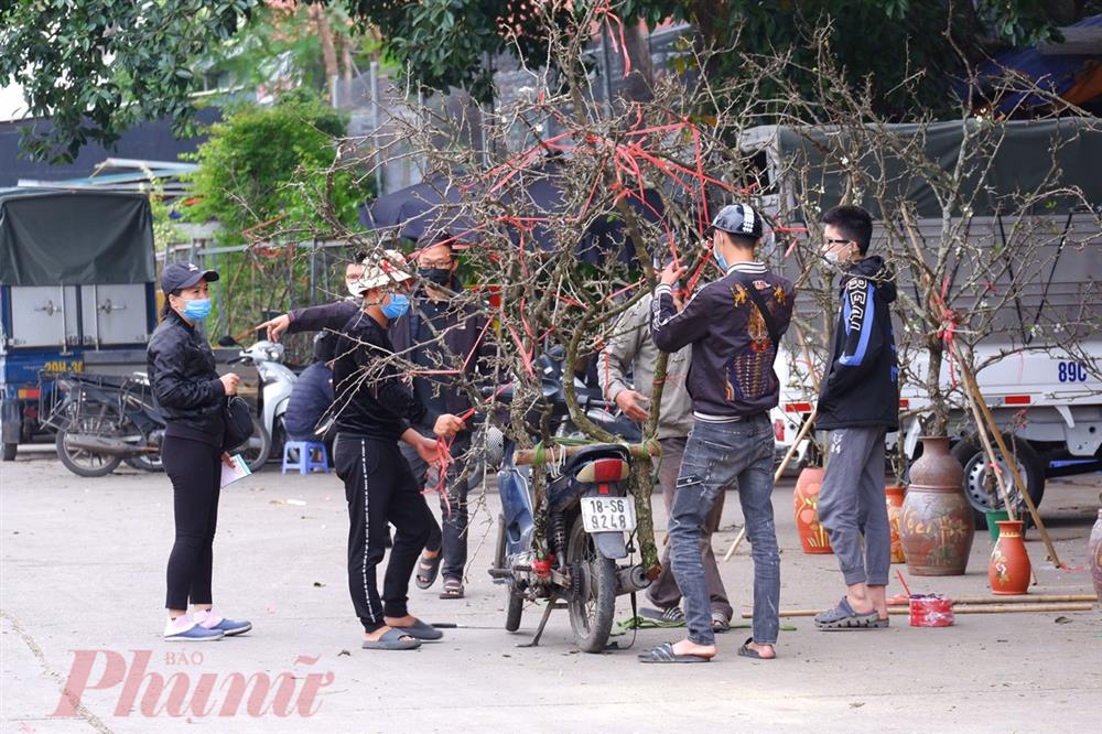 Chưa đến Tết, đào đã được bán trên phố-7