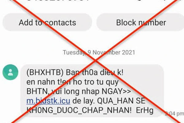 Hà Nội: Cụ bà 76 tuổi rơi từ tầng cao chung cư tử vong thương tâm-4