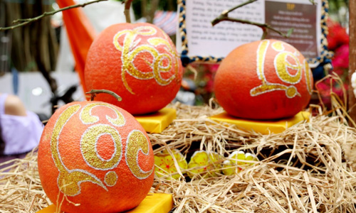 Bưởi đỏ tiến vua vẽ thư pháp giá cả triệu đồng-1