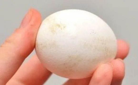 Khi mua trứng nên chọn loại vỏ nhám hay nhẵn? Chị bán trứng: Nhiều người đã chọn nhầm-3