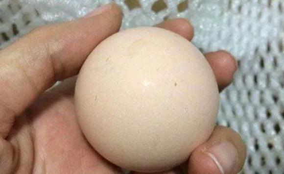 Khi mua trứng nên chọn loại vỏ nhám hay nhẵn? Chị bán trứng: Nhiều người đã chọn nhầm-6