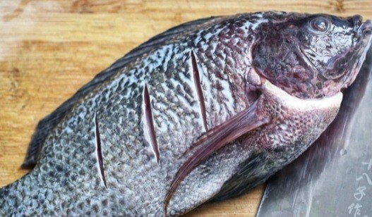 5 loại cá bẩn nhất chợ, chẳng những không ngon mà còn gây bệnh-2
