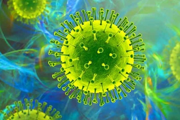 Biến thể Delta gây tăng nguy cơ thai chết lưu và tử vong mẹ-1