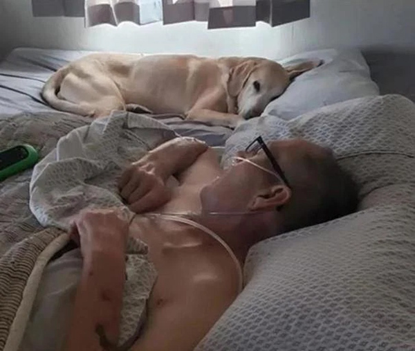 Chú chó nằm canh giường bệnh chủ nhân ung thư suốt 9 năm, cả hai lìa đời cách nhau 90 phút-1