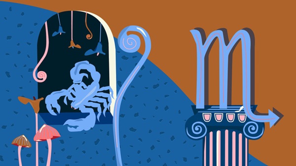 Dự báo năm 2022 cho cung Bọ Cạp: Làm giàu thành công, tài chính rực rỡ nhất từ trước tới nay-1