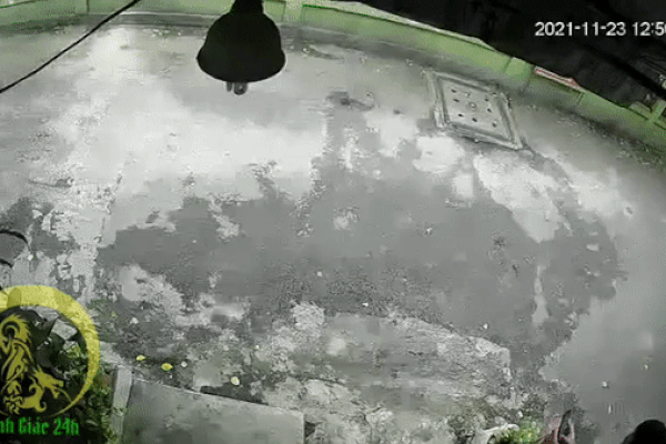 Đứng trước cửa nhà nhảy nhót quay Tiktok, cô gái chết lặng khi 2 thanh niên lao xe máy đến cướp điện thoại-1