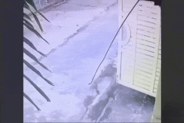 Công an xác minh clip một cô gái nghi bị bác sĩ bạo dâm” ở Nghệ An-2