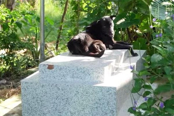 Clip nhóm thanh niên khống chế hiếp dâm, ghi hình mặc cho cô gái kêu cứu gây phẫn nộ, hành động nhiều người ồ ạt xin link càng đáng lên án-1