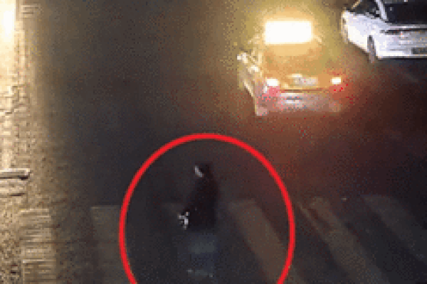 Ô tô lao thẳng vào người phụ nữ đang sang đường và cú nhảy kịp thời