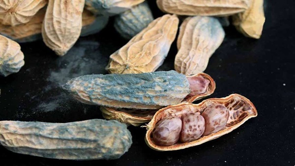 Loại dầu ăn này có thể chứa chất gây ung thư độc gấp 68 lần asen, giá rẻ đến mấy cũng không nên mua về dùng vì tổn hại sức khỏe khủng khiếp-2