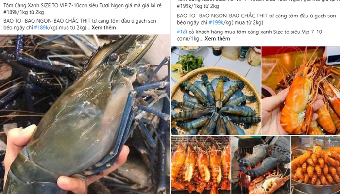 Tôm càng xanh cỡ vip 7-8 con/kg giá siêu rẻ chỉ từ 189k khiến khách mua giật mình nhưng chất lượng còn bất ngờ hơn-1